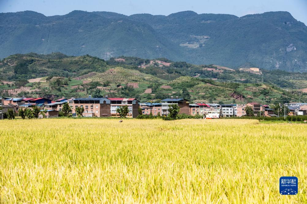 游戏app收款用那个平台好